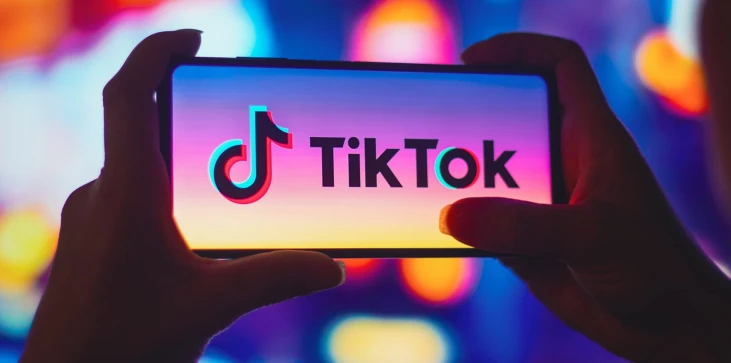 Λογότυπο τηλεφώνου TikTok